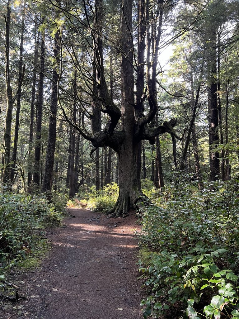 washington rv camping