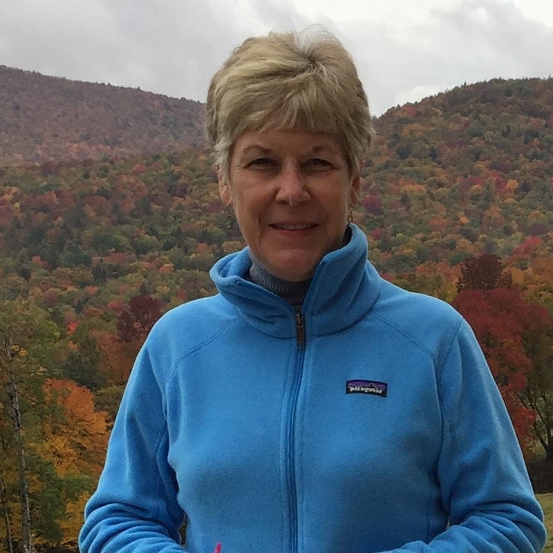 SusanMcHugh-square